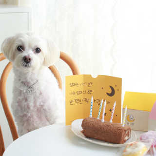 양양님이 올린 리뷰 사진 4