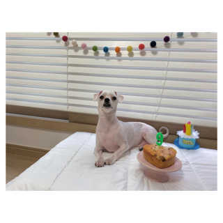 마이민님이 올린 리뷰 사진 1