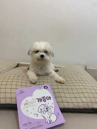 My Pet Care 천연단백질 치아건강에 개좋아 — 5점을 준 리뷰어가 2020년 11월 올린 사용 사진