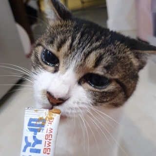 먕아냥해봐님이 올린 리뷰 사진 2