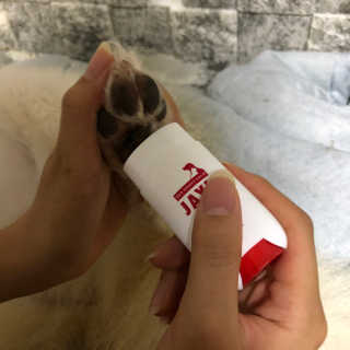 [레드허니밤]자유펫 고양이 강아지 발바닥 밤 14g — 5점을 준 리뷰어가 2020년 7월 올린 사용 사진