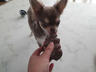 김선아님이 올린 리뷰 사진 2