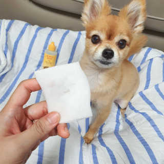 뽀으리이님이 올린 리뷰 사진 2
