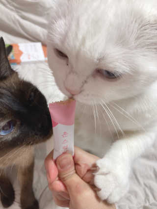 ojs226님이 올린 리뷰 사진 1