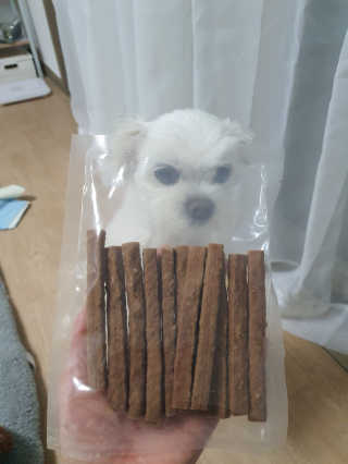 My Pet Care 천연단백질 치아건강에 개좋아 — 5점을 준 리뷰어가 2020년 11월 올린 사용 사진