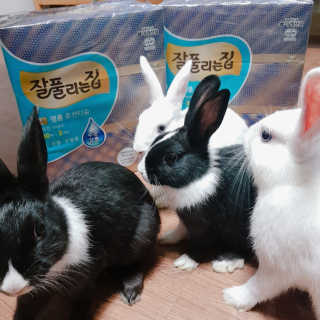 잘풀리는집 부드러운 모이스처 보습 미용 티슈 230매 — 5점을 준 리뷰어가 2020년 9월 올린 사용 사진