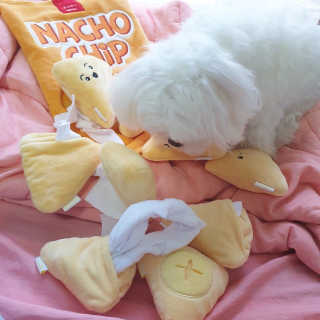 lala님이 올린 리뷰 사진 4