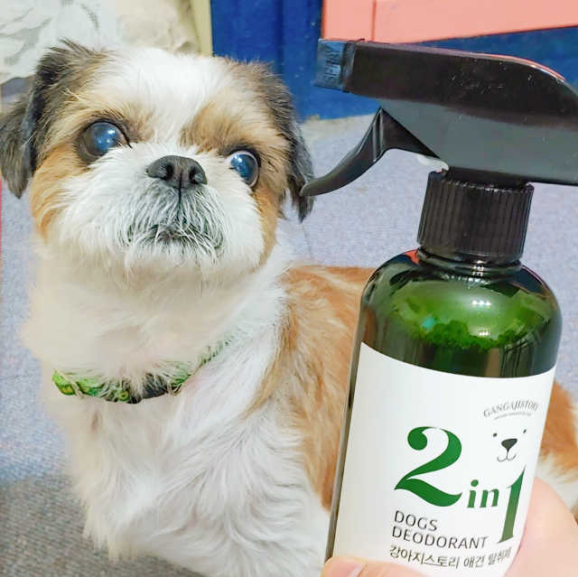 강아지스토리 2in1 강아지 애견 탈취제 400ml 리뷰 사진