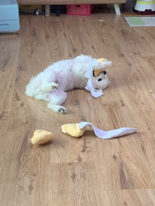 YeonjuLim님이 올린 리뷰 사진 3