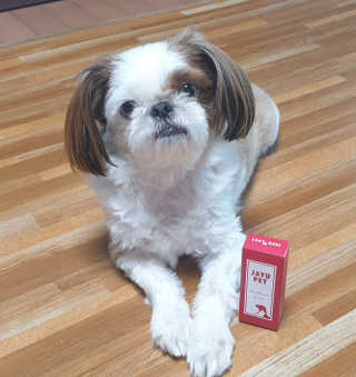 [레드허니밤]자유펫 고양이 강아지 발바닥 밤 14g — 5점을 준 리뷰어가 2020년 7월 올린 사용 사진