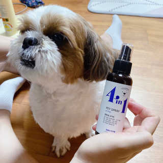 강아지스토리 포인원 모이스처 미스트 100ml — 4점을 준 리뷰어가 2020년 6월 올린 사용 사진