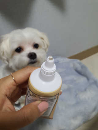 아롱22님이 올린 리뷰 사진 4