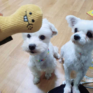 나린마마님이 올린 리뷰 사진 3