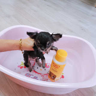 장성희님이 올린 리뷰 사진 2