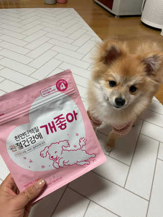 My Pet Care 천연단백질 관절건강에 개좋아 — 5점을 준 리뷰어가 2020년 12월 올린 사용 사진