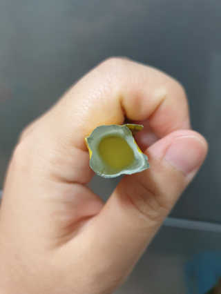 BoRaJin님이 올린 리뷰 사진 3