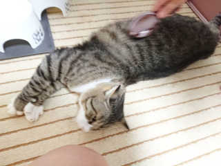 野田千翔님이 올린 리뷰 사진 3