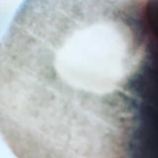 송송님이 올린 리뷰 사진 4