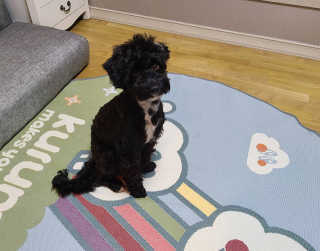 유짱님이 올린 리뷰 사진 4