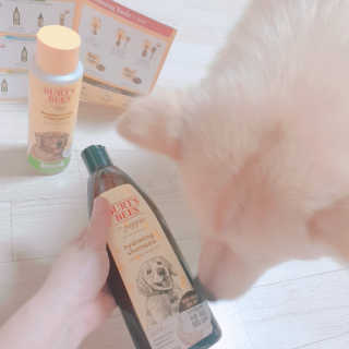 🎀딸 ♥️랑 🔆구🍭님이 올린 리뷰 사진 2
