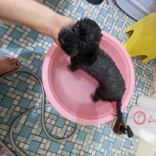 쓔리님이 올린 리뷰 사진 2