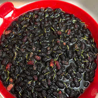 친환경 과일세정제 그린그램 칼슘파우더 1통 150g — 5점을 준 리뷰어가 2020년 6월 올린 사용 사진