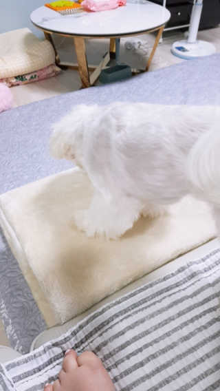 나란여자🤦‍♀️🤷‍♀️💁‍♀️님이 올린 리뷰 사진 2