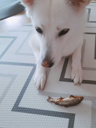 딸랑구둘🥰님이 올린 리뷰 사진 3