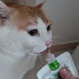 쓔리님이 올린 리뷰 사진 2