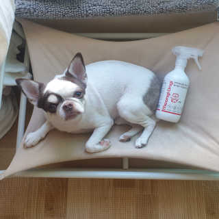 mini unni님이 올린 리뷰 사진 3