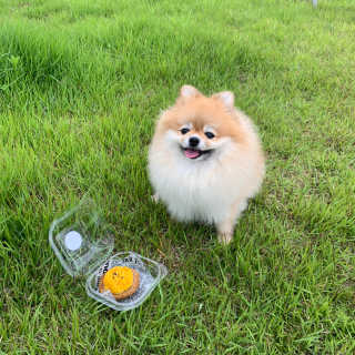 이하린님이 올린 리뷰 사진 1