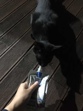 JennyJung님이 올린 리뷰 사진 3