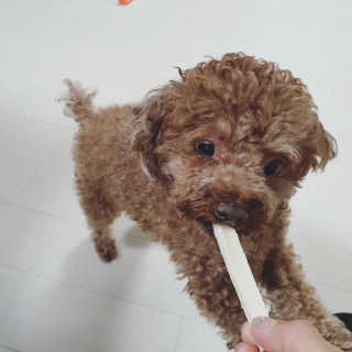 수호맘님이 올린 리뷰 사진 1