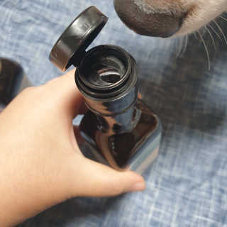 beaglelove님이 올린 리뷰 사진 2