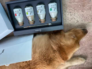 아보카도올리브님이 올린 리뷰 사진 1