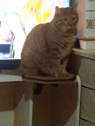 뚜뚜쭈님이 올린 리뷰 사진 2