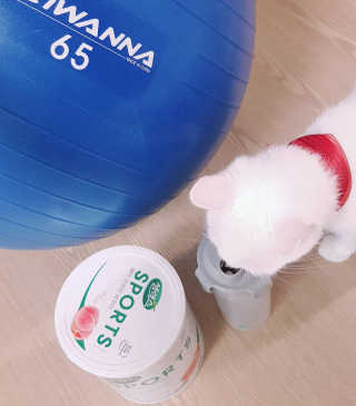 대박이님이 올린 리뷰 사진 2