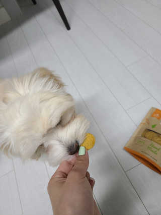 ppuni님이 올린 리뷰 사진 3