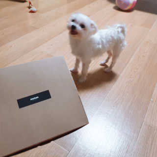 숮이님이 올린 리뷰 사진 3