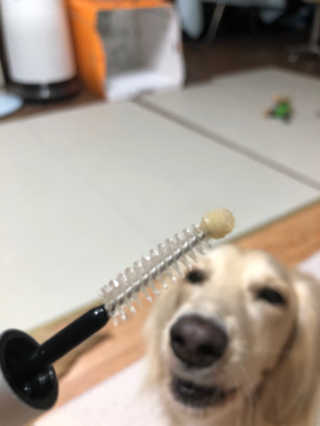 SoyoungChoi님이 올린 리뷰 사진 3