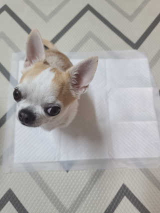 보리보리님이 올린 리뷰 사진 3