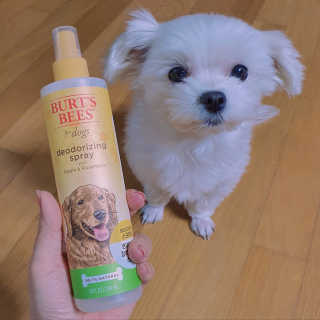 이수진님이 올린 리뷰 사진 3