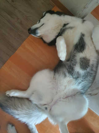 Soo님이 올린 리뷰 사진 3