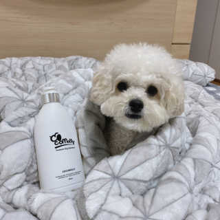 예민한 피부를 위한 코코몰리 All in one 자연유래 샴푸 — 5점을 준 리뷰어가 2020년 12월 올린 사용 사진