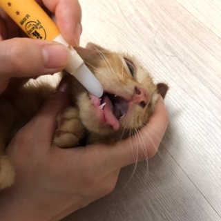 김대준님이 올린 리뷰 사진 1