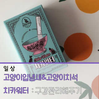 패랭이님이 올린 리뷰 사진 1