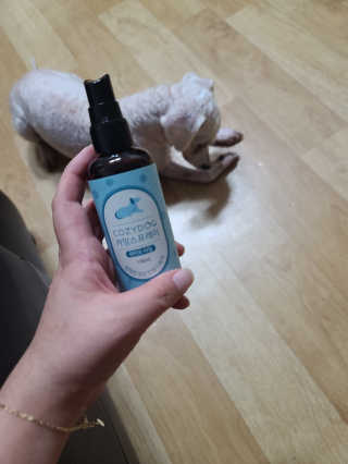쮸아앙님이 올린 리뷰 사진 2