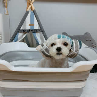 2daeng님이 올린 리뷰 사진 3