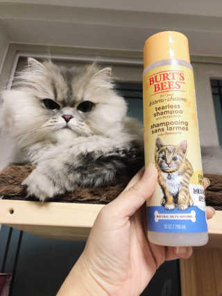 꼬끼오님이 올린 리뷰 사진 3