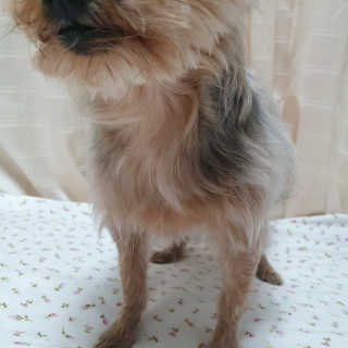 솜희님이 올린 리뷰 사진 4